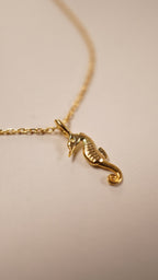 Necklet Denizatı Kolye